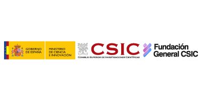 CSIC Fundación